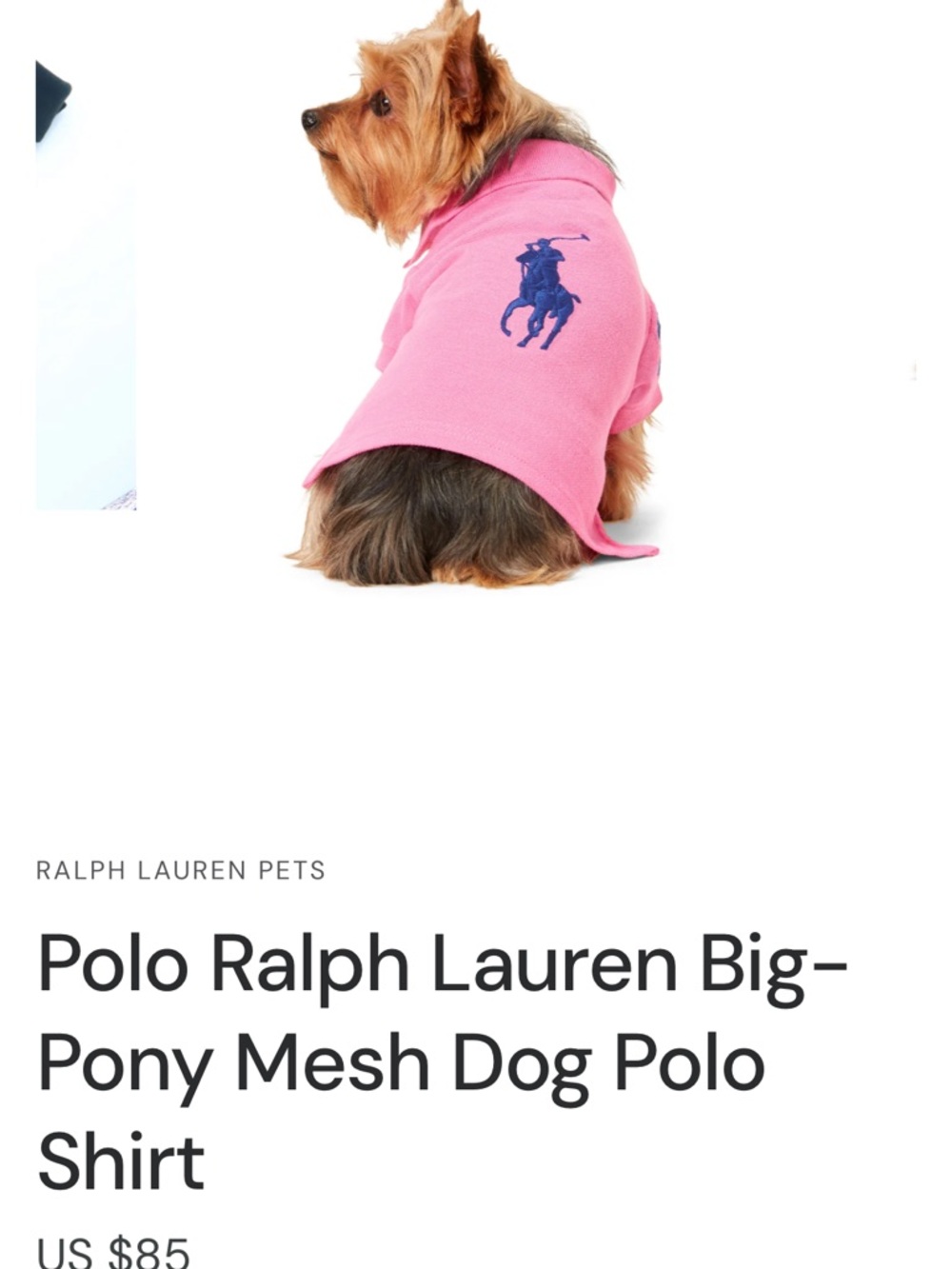 Polo by Ralph Lauren Pink Dog Polo with Navy Embroidery